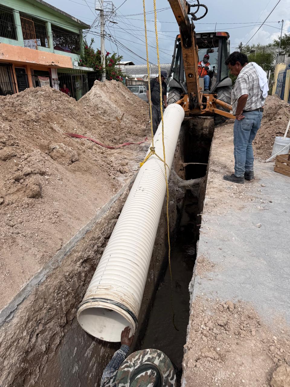 Imagen de la obra